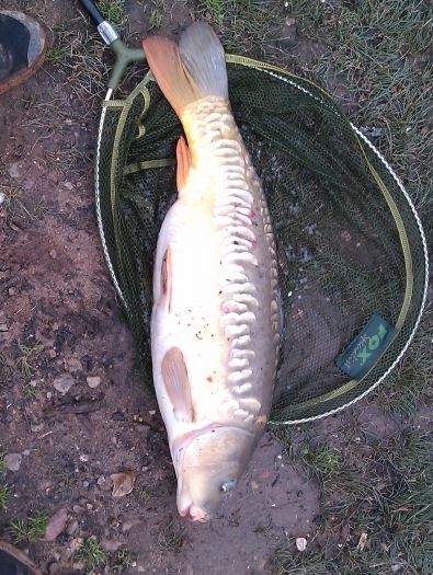Large photo