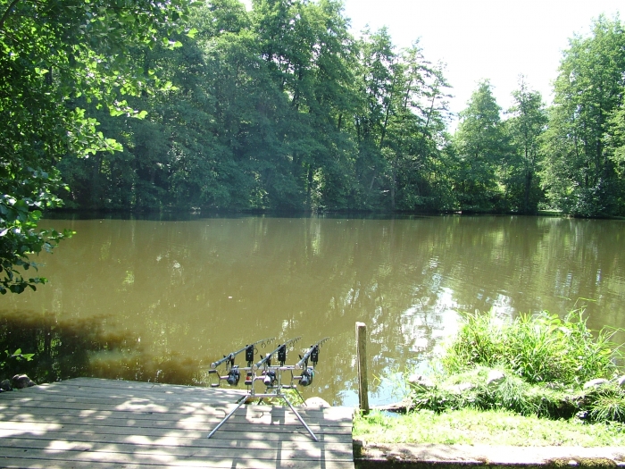 Large photo