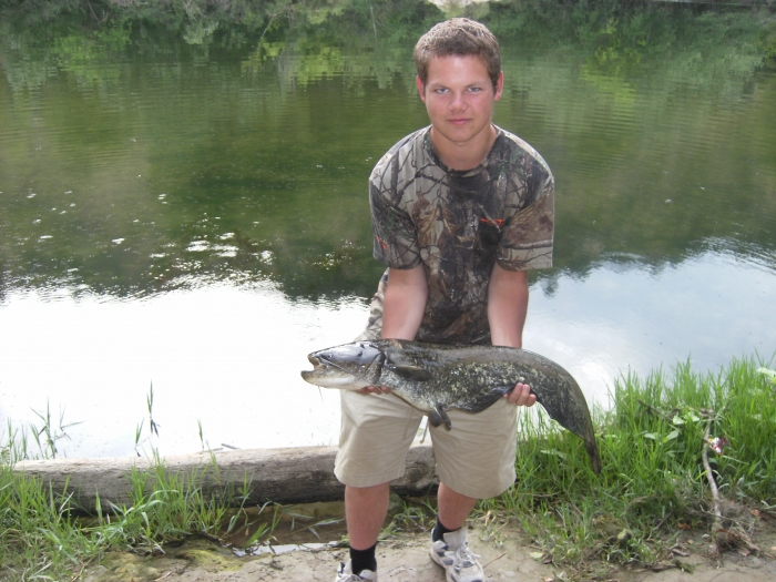 Large photo