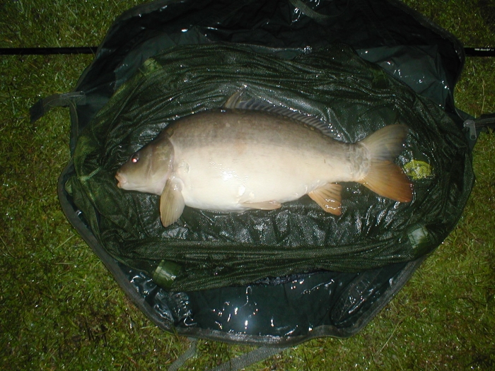 Large photo