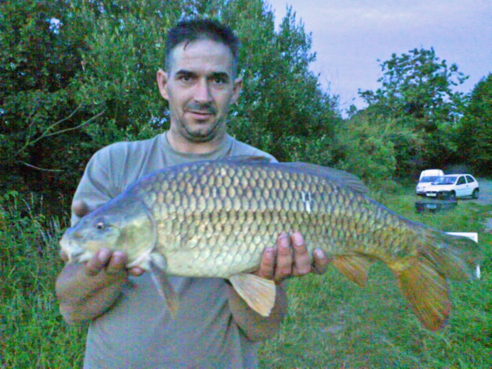 Large photo