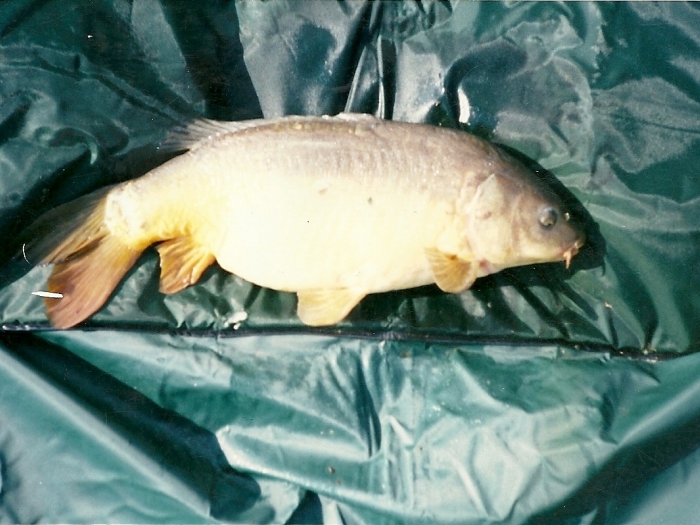 Large photo