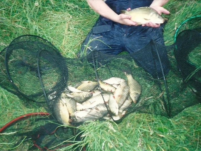 Large photo