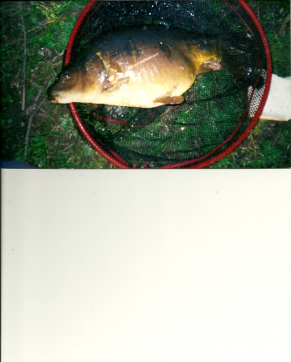 Large photo