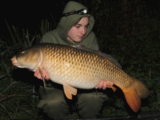 Click thumbnails below to view enlargements in lightbox player