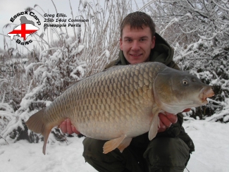 Click thumbnails below to view enlargements in lightbox player