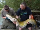 Tim Axten 47lbs 8oz Catfish (Wels) from Morgane - Bigot Lakes. Far Right Corner