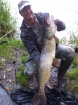 Wally Pickering 20lbs 1oz 1dr Pike. check this beauty out...