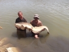 119lbs 0oz Catfish (Wels) from River Segre