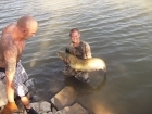 Aaron Whiteside 45lbs 0oz Catfish (Wels) from River Segre