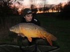 17lbs 2oz Mirror Carp from Meadows Lake Harlow using Mother Nature.. Caught on single hookbait worm popped up with a piece of cork fished close to a weed bed. Rig was made from Nash Armour Braid,