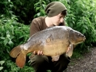 23lbs 5oz Mirror Carp from RP LVP using Nash Mutant.. After weeding me up and climbing round trees to try and get the fish free I was convinced the fish was off. Opting to simply get my rig back I