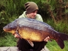 33lbs 8oz Mirror Carp from Carp Quarry using Nash Scopex Squid Liver Plus.. Fishing to the tree line on the far margin - Using a inline lead system which I cored the inside of the lead out and