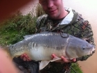 22lbs 4oz Mirror Carp from townsend fishery. caught on 2 12mm pellets pva baged right in the side of the rushes gd fight