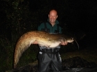 60lbs 0oz Catfish (Wels) from Sweet Chestnut Lake. Christened my new catfish rod and reel with this beauty, first cast!