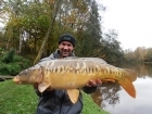 Colin Meneaud 14lbs 0oz Mirror Carp from Sweet Chestnut Lake using Carp Cuisine 'Frankfurter Sausage' single hookers in 18mm... 4th of 4 mirrors in 2 hours, perfect early winter conditions.