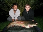 36lbs 9oz Catfish (Wels) from Sweet Chestnut Lake