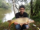 Sudhir Meneaud 8lbs 0oz Common Carp from Sweet Chestnut Lake