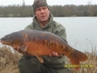 David Lovegrove 21lbs 8oz Mirror Carp from Blackhorse Lake Great Linford Lakes syndicate using CC Moore.. David Lovegrove fished Blackhorse lake on the Great Linford complex to catch this 21lb 08lb