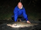 59lbs 0oz Catfish from Sweet Chestnut Lake using Loire.