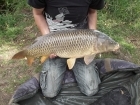 Luke Foster 30lbs 1oz Common Carp from Willow Lake