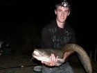 25lbs 6oz Catfish (Wels) from Willow Lake