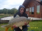 17lbs 3oz carp from blackthorn fishery using frank warwick.. another stunning blackthorn carp.