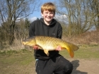 12lbs 7oz Common Carp from turf pool using dynamite baits pinapple and tigernut crunch.
