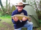 6lbs 15oz Tench from The Bridge Inn, Lenwade. Caught by Stewart Wells on multi maggots on size 12 hook with maggot feeder.