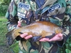 Clive Wells 3lbs 1oz Tench from Kingfisher Lakes. Caught on multi red maggots