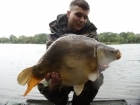 12lbs 8oz Mirror Carp from Earlswood Lakes. Method Feeder