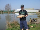 3lbs 0oz Mirror Carp from Norman's Pools using solar banana and toffee pop up.