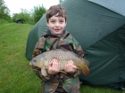William Fletcher 4lbs 4oz Common Carp from Birch House Lakes. 8 metre pole fished towards overhanging bush. 5lbs mainline straight through to size 16 hook.