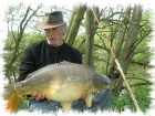 21lbs 4oz Mirror Carp from Merston using My own.. Just for a change I thought that I would use some of my old gear so out came the Chapman's 500 Rod Centre Pin reel. The Fish was caught using a size