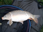 Dan Glover 1lbs 1oz Mirror Carp from Fletchers