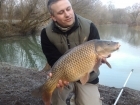 12lbs 0oz Common Carp from Dyffryn Springs