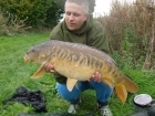 17lbs 8oz Mirror Carp from Carp Pool