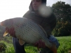 13lbs 9oz Mirror Carp from Carp Pool