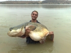 156lbs 0oz Catfish (Wels) from River Ebro