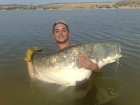 92lbs 0oz Catfish (Wels) from Ebro