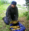 5lbs 3oz Tench from Tontine Lake. Three tench caught in total - all three on a method feeder fished adjacent to stakes - other fished weighed 5lb dead and 3lb 13oz