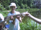 6lbs 9oz Pike from Pool Farm