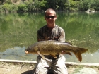 15lbs 0oz Common Carp from River Ebro