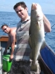 Chris Day 18lbs 3oz cod from Bessie Vee Charters