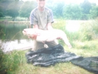Michael Hale 27lbs 0oz cat fish from Shatterford Lakes