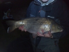 Steven Spilsbury 16lbs 2oz carp from Shatterford Lakes using dynamite baits.