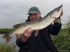 Trent Piker 10lbs 0oz Pike from River Trent