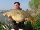 26lbs 0oz Common Carp from Aquatels Carp Fishery using Essex Carp Baits C.I.A Chocolate Intense Amino.