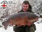 Essex Carp Baits 20lbs 0oz Mirror Carp from The Warren Fishery using Essex Carp Baits Pineapple Perils.