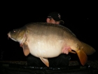 38lbs 14oz Mirror Carp from Le Moulin Du Mee using Essex Carp Baits F.I.A Fish Intensive Amino.